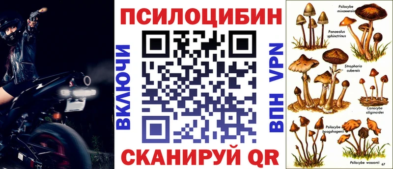 Галлюциногенные грибы Cubensis  купить наркоту  Пугачёв 